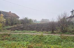 Teren intravilan de vanzare, 27.958 mp, in Vetis