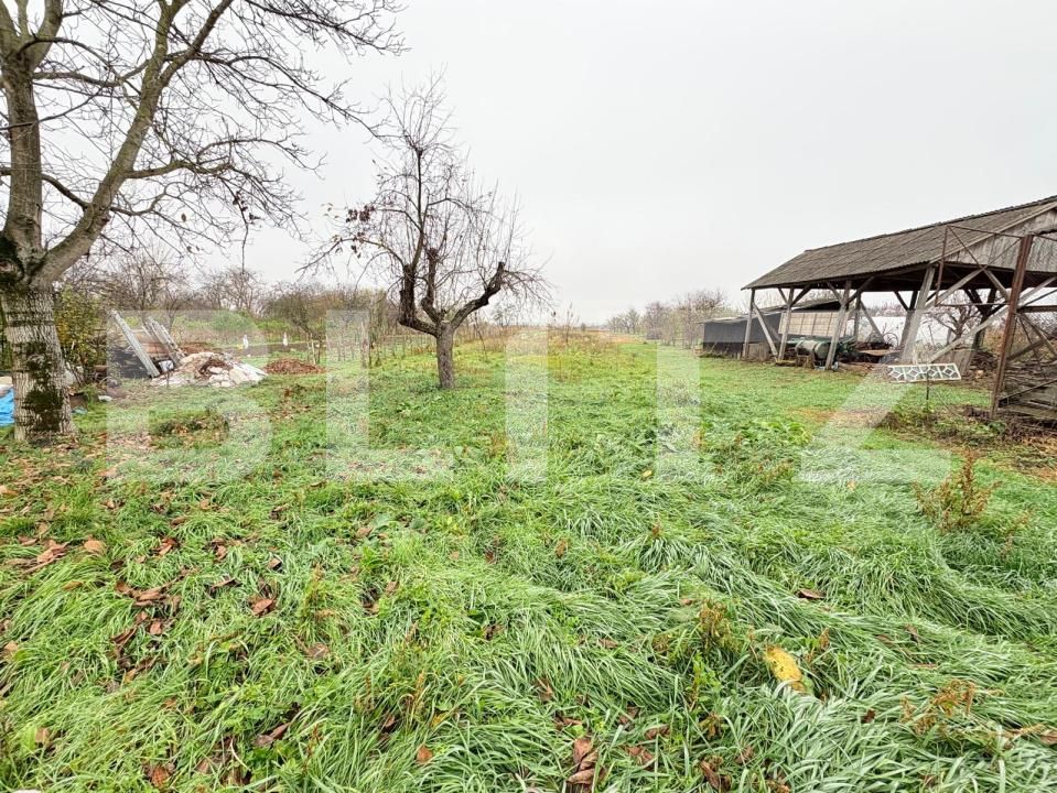 Casa de vânzare 3 camere Exterior Vest - 181954CV | BLITZ Satu Mare | Poza6