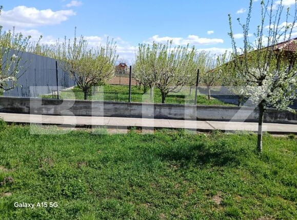 Casa de vânzare 3 camere Lazuri - 181967CV | BLITZ Satu Mare | Poza5