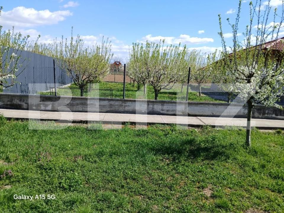 Casa de vânzare 3 camere Lazuri - 181967CV | BLITZ Satu Mare | Poza5