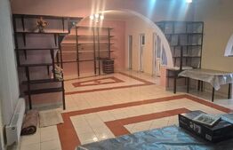 Casa 4 nivele + mansarda, 650 mp, zona Lucian Blaga