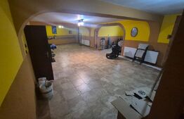 Casa 4 nivele + mansarda, 650 mp, zona Lucian Blaga