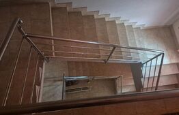 Casa 4 nivele + mansarda, 650 mp, zona Lucian Blaga