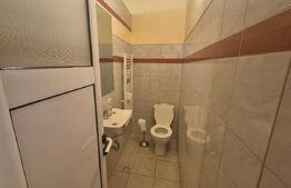 Casa 4 nivele + mansarda, 650 mp, zona Lucian Blaga