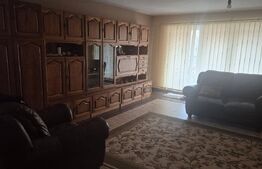 Casa 4 nivele + mansarda, 650 mp, zona Lucian Blaga