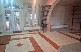 Casa 4 nivele + mansarda, 650 mp, zona Lucian Blaga