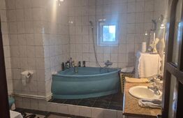 Casa 4 nivele + mansarda, 650 mp, zona Lucian Blaga