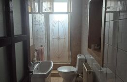 Casa 4 nivele + mansarda, 650 mp, zona Lucian Blaga