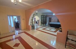 Casa 4 nivele + mansarda, 650 mp, zona Lucian Blaga