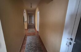 Casa 4 nivele + mansarda, 650 mp, zona Lucian Blaga