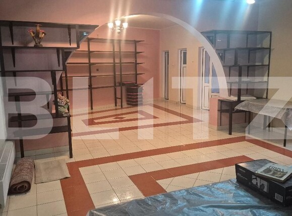 Casa de vânzare 12 camere Lucian Blaga - 182017CV | BLITZ Satu Mare | Poza18