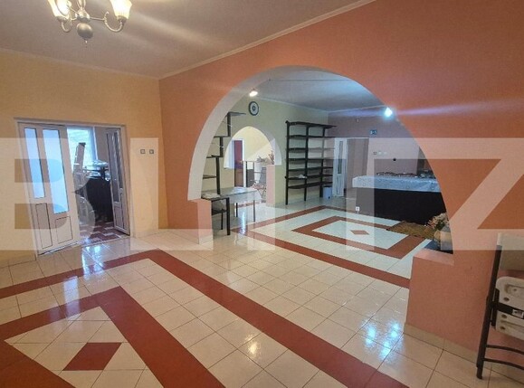 Casa de vânzare 12 camere Lucian Blaga - 182017CV | BLITZ Satu Mare | Poza16
