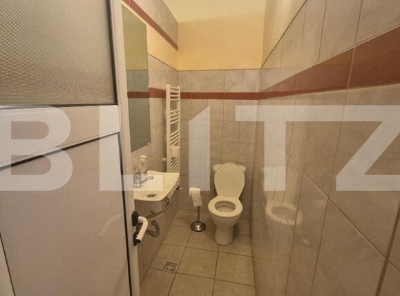 Casa de vânzare 12 camere Lucian Blaga - 182017CV | BLITZ Satu Mare | Poza19