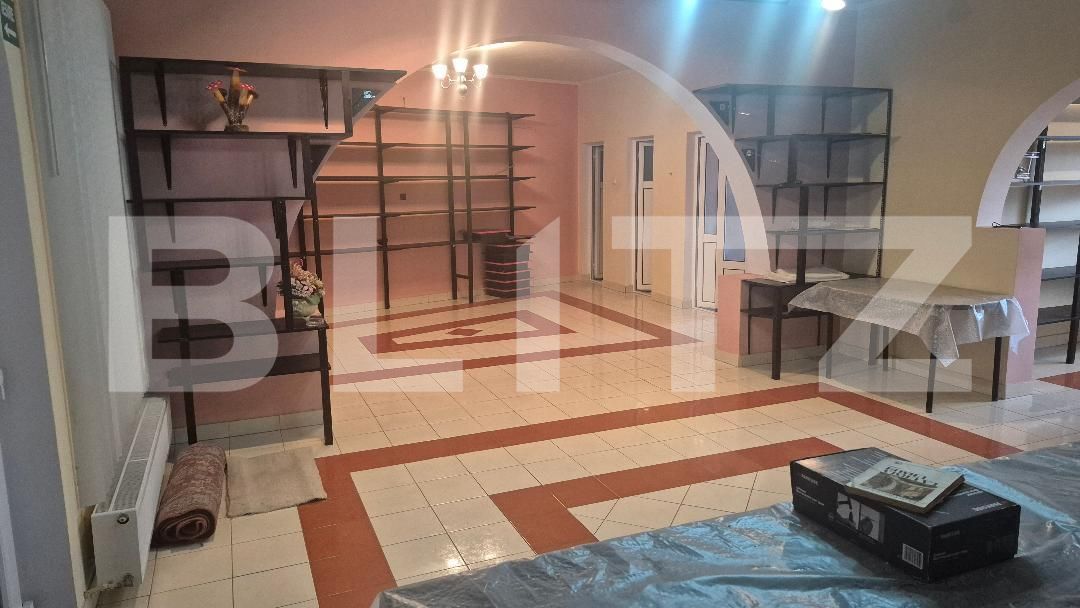 Casa de vânzare 12 camere Lucian Blaga - 182017CV | BLITZ Satu Mare | Poza18