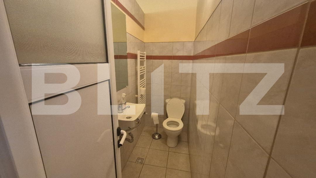 Casa de vânzare 12 camere Lucian Blaga - 182017CV | BLITZ Satu Mare | Poza19