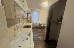 Apartament de vanzare, 65 mp, zona Piata Mica