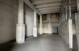 Hală industrială – 2800 mp utili, zonă Botizului/Șoimoșeni