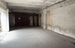 Hală industrială – 2800 mp utili, zonă Botizului/Șoimoșeni