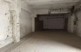 Hală industrială – 2800 mp utili, zonă Botizului/Șoimoșeni