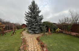 Casă P+E cu piscină și teren generos, zona Semicentral