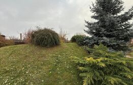 Casă P+E cu piscină și teren generos, zona Semicentral