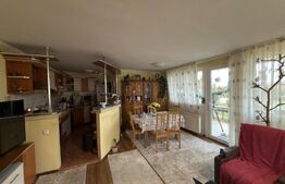 Casă P+E cu piscină și teren generos, zona Semicentral