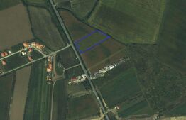 Teren extravilan, 7300 mp, Satu Mare periferie