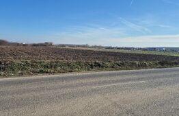 Teren extravilan, 7300 mp, Satu Mare periferie