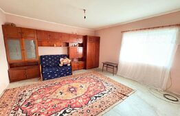 Casă de vânzare, teren 50 de arii, sat Geraușa