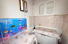 Casă de vânzare, teren 40 de arii, sat Geraușa