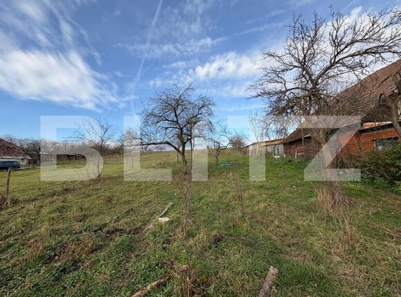 Casa de vânzare 2 camere Sud-Est - 182635CV | BLITZ Satu Mare | Poza5