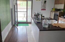 Casa de vanzare, 350 mp, zona Bercu Rosu