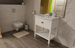 Casa de vanzare, 350 mp, zona Bercu Rosu