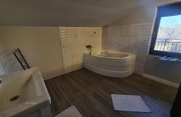 Vila superba de vanzare, 300 mp, teren 600 mp, Bercu Rosu
