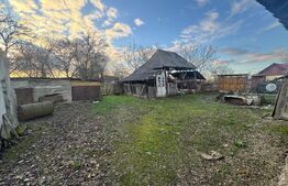 Casa, Comuna Apa ,Sat Someseni, 50mp, 17 ari teren