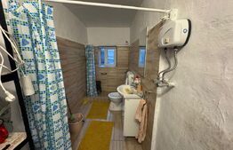 Casa, Comuna Apa ,Sat Someseni, 50mp, 17 ari teren