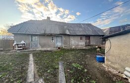 Casa, Comuna Apa ,Sat Someseni, 50mp, 17 ari teren