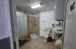 Hala service auto de inchiriat, 135 mp, zona Careiului