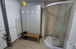 Hala service auto de inchiriat, 135 mp, zona Careiului