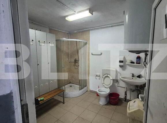 Spațiu industrial de închiriat Careiului - 182808SII | BLITZ Satu Mare | Poza5