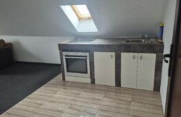 Apartament 4 camere, 230 mp, zona Careiului