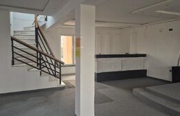 Apartament 4 camere, 230 mp, zona Careiului