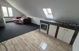 Apartament 4 camere, 230 mp, zona Hanul lui Ion