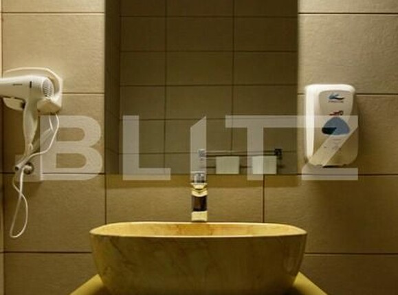 Spațiu comercial de vânzare Botiz - 182937SVC | BLITZ Satu Mare | Poza16