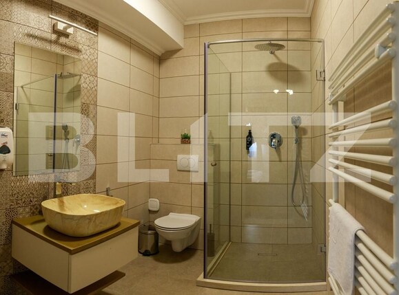 Spațiu comercial de vânzare Botiz - 182937SVC | BLITZ Satu Mare | Poza14