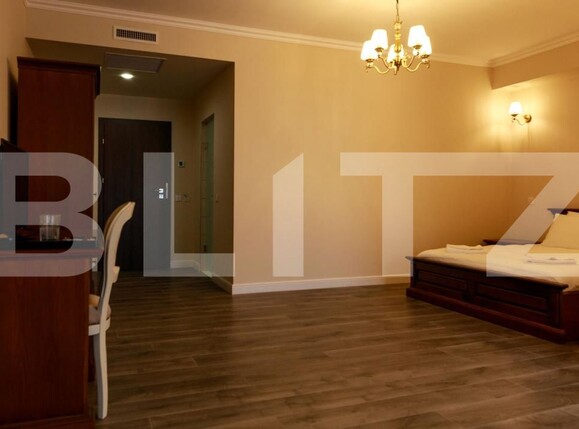 Spațiu comercial de vânzare Botiz - 182937SVC | BLITZ Satu Mare | Poza18