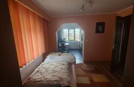 Pensiune turistica + casa de locuit, 315 mp, teren 761 mp, zona Baritiu