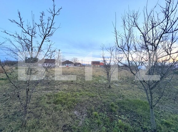 Casa de vânzare 4 camere Sud-Est - 182994CV | BLITZ Satu Mare | Poza10