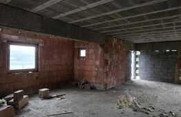 Casa la rosu, 191mp, teren 471mp. Viile satu Mare