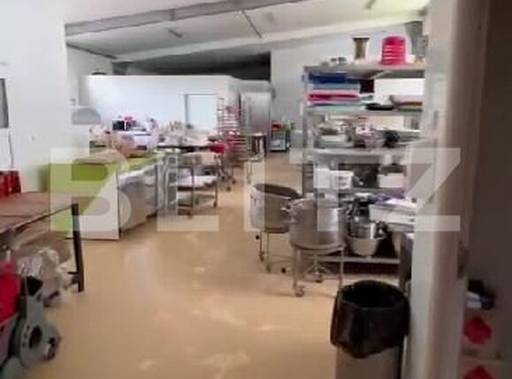 Spațiu industrial de vânzare Botizului - 183088SVI | BLITZ Satu Mare | Poza2